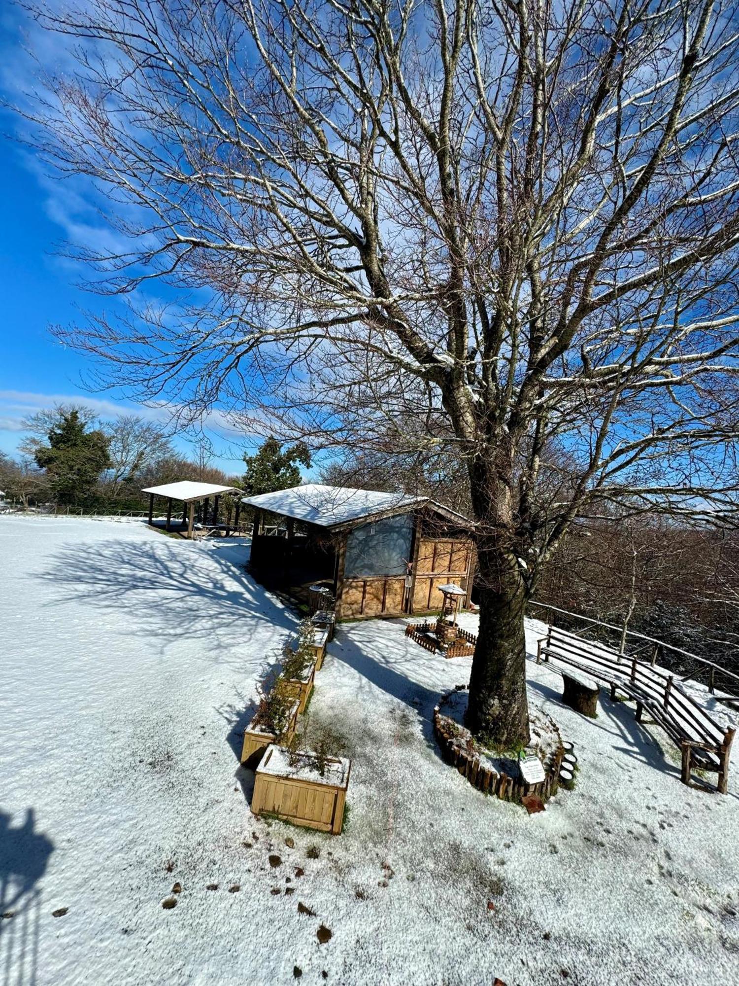 Hotel Nebris - Rifugio Del Parco à San Fratello Extérieur photo